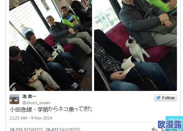 日本一级情欲电车视频引发热议，网友纷纷讨论其对社会风气的影响与反响，相关话题持续升温