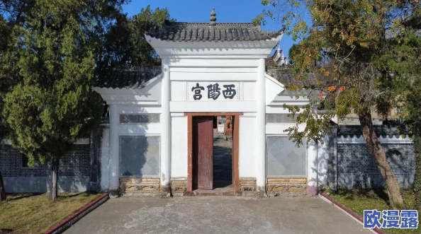 思密达的快乐家族：全面解锁游戏攻略与家族成长秘籍