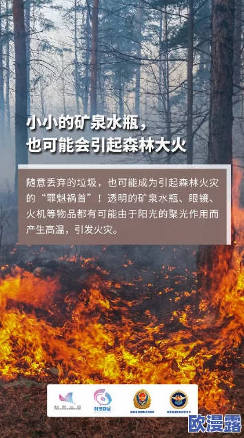 乡村烈焰又粗又长又大,火灾频发引发关注,专家呼吁加强森林防火和应急管理措施 乡村烈焰又粗又长又大,火灾频发引发关注,专家呼吁加强森林防火和应急管理措施