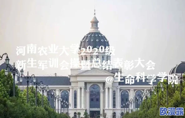 欧美操片在线观看：最新动态与热门视频推荐，带你领略精彩内容与多样化选择，满足你的观看需求