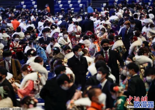 日本性在线：最新动态揭示社交平台上性别话题的变化与年轻人态度的转变
