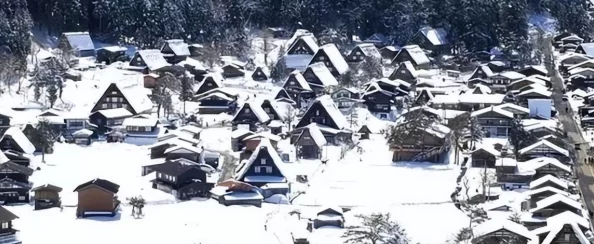 探索日本独特文化与风景的精彩视频，带你领略不一样的旅行体验