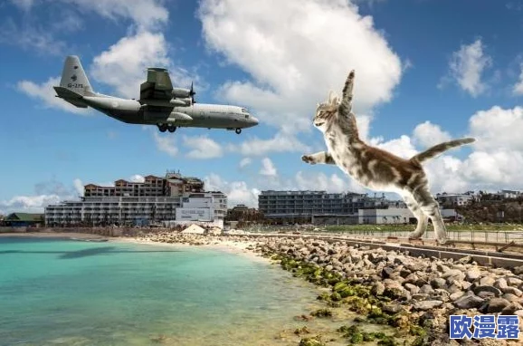 探索亚洲精品国产第一区与第二区的独特魅力与文化差异 探索亚洲精品国产第一区与第二区的独特魅力与文化差异