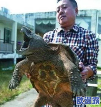 绿帽王八跪下喝尿好爽江湖行：近日，该事件引发广泛关注，网友们纷纷发表看法，讨论其背后的文化现象与社会影响