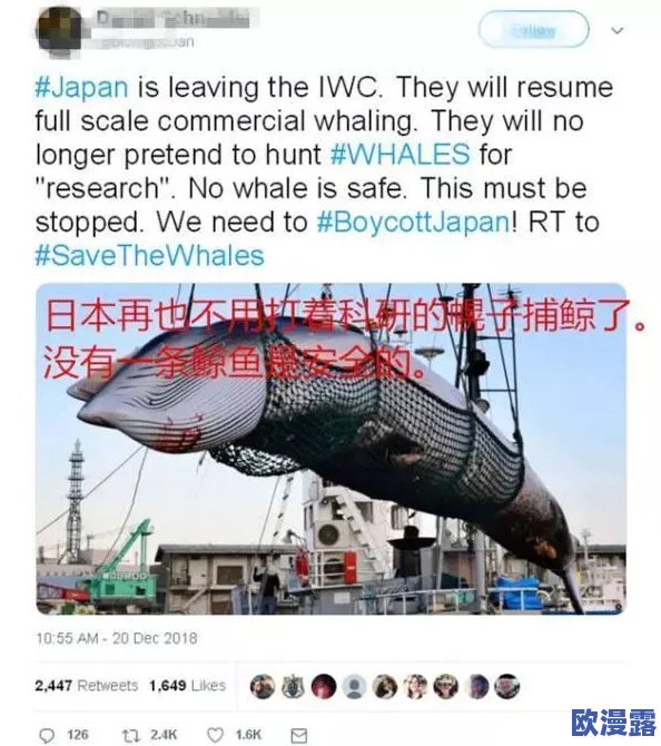 玉足软肉夹住摩擦:最新动态揭示了这一现象在社交媒体上的热议与讨论,吸引了众多网友的关注与参与 玉足软肉夹住摩擦:最新动态揭示了这一现象在社交媒体上的热议与讨论,吸引了众多网友的关注与参与