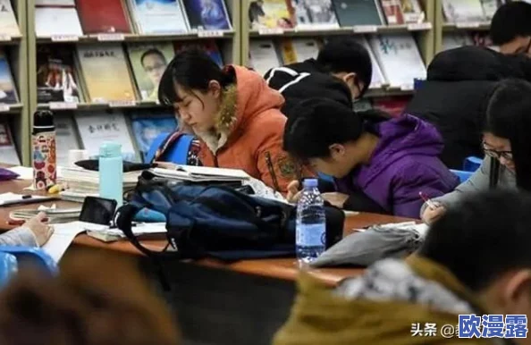 权力与纷争游戏装备材料全攻略：详解装备材料的获取与使用技巧