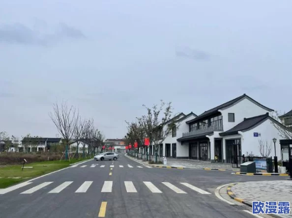 《口袋联盟》深度解析图鉴系统介绍：全面探索图鉴功能一览与玩法
