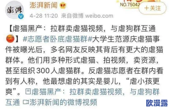 操女生下面：近日网络上出现相关讨论，引发广泛关注，许多网友对此表达了不同看法和意见