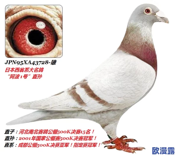 日本夏冰寒说：翁熄系列乱吃奶小玲：最新动态曝光，情节发展引发热议，网友纷纷讨论角色关系与剧情走向