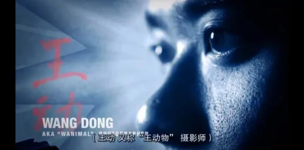 探索自由与激情：性欧美69hd视频带来的全新视角与体验