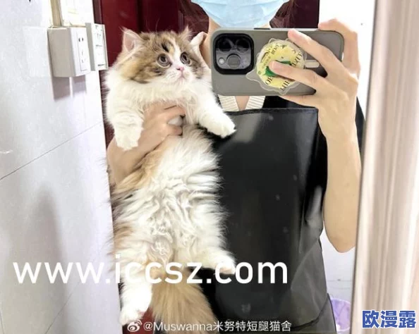 探索波多野结衣全集乳的魅力：从经典作品到现代影像，揭示其背后的艺术与文化价值
