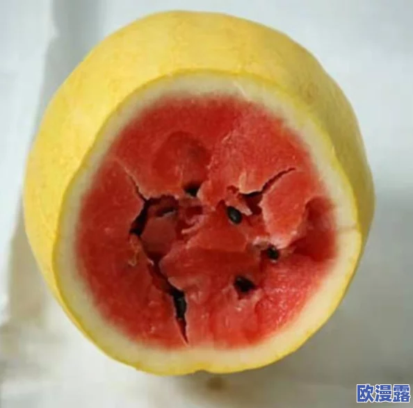 探索日本文化的多样性：从传统艺术到现代科技，揭示日本独特魅力的全景之旅