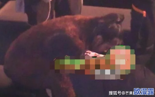 撒尿bbwbbwbbw毛喷水：近日，该视频在社交媒体上引发热议，网友们纷纷分享自己的看法和反应