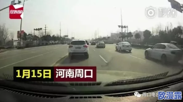 公交车上的激情小玲：一段意外邂逅引发的青春故事与心灵碰撞