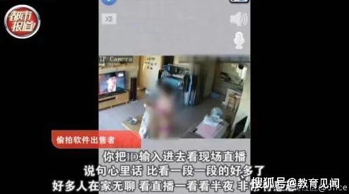 欧美性偷拍现象揭秘：隐秘摄像背后的社会问题与法律挑战