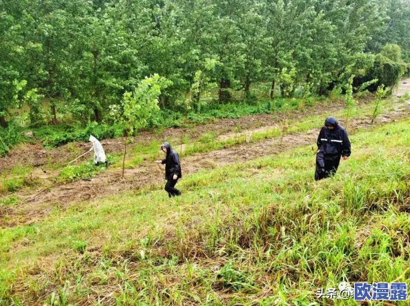 CF手游攻略：全面解析防守策略，守护中心陷阱塔高效布阵技巧
