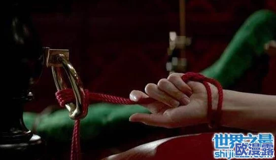 探索日本文化中的奴隶与BDSM：变态情趣背后的心理与社会现象分析