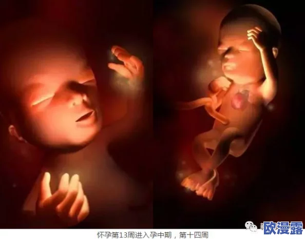 大肚孕嗯啊h文：探索怀孕期间的情感与身体变化的奇妙旅程
