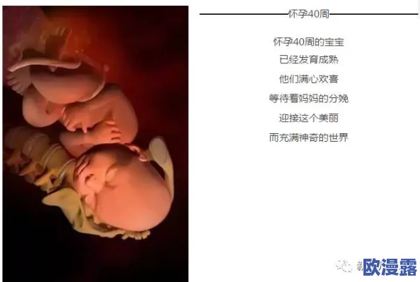 大肚孕嗯啊h文：探索怀孕期间的情感与身体变化的奇妙旅程