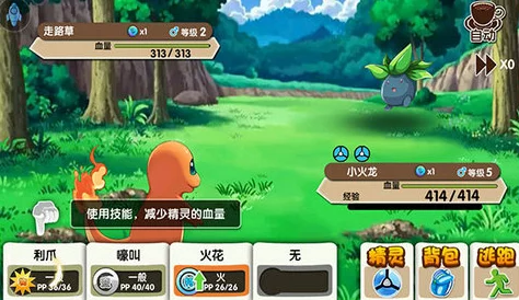 口袋妖怪复刻现版本热门精灵组合推荐及策略分析指南