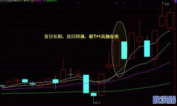 探索仙女屋：韩国主播大尺度TV背后的秘密与魅力，揭开直播行业的新风潮