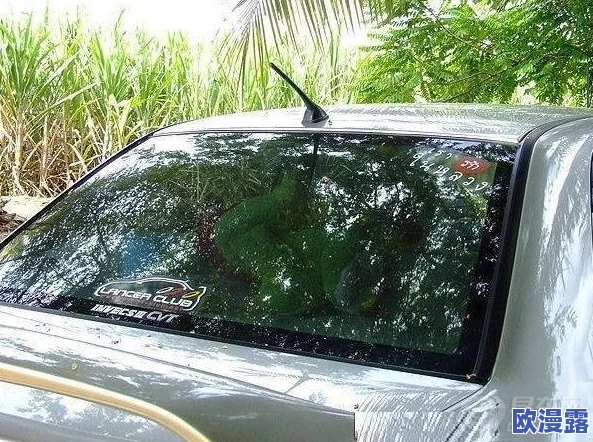 偷拍和情人啪啪：最新动态揭示隐私侵犯问题引发社会广泛关注与讨论，呼吁加强法律保护
