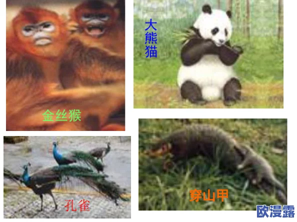 BBWBBWBBwBBw丅Ⅴ：震惊！科学家发现全新物种，颠覆我们对生命的理解，或改变生态平衡！