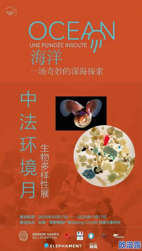 探索成人在线观看播放的全新体验：让你在舒适环境中享受多样化内容的无限可能