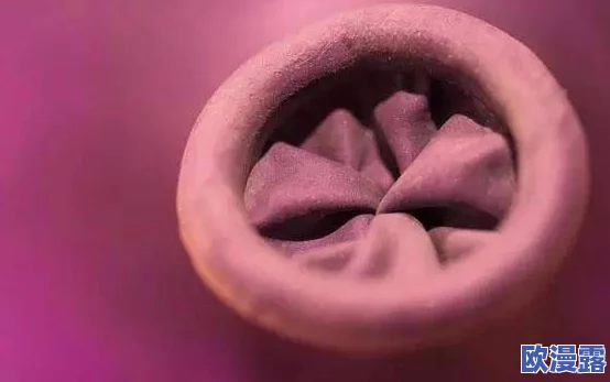 探索女性魅力：阳道口视频中的美丽与自信，展现独特的身体艺术与自然之美