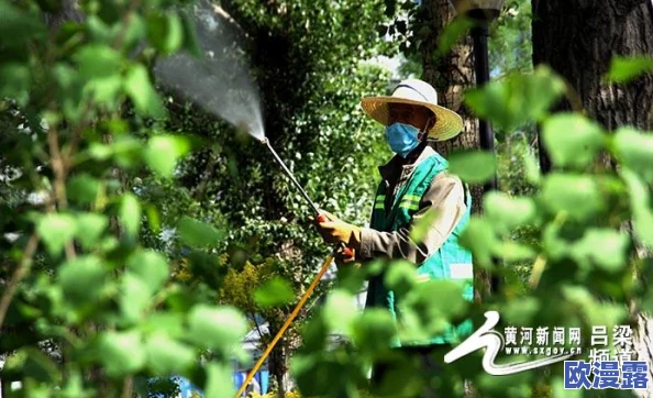 探索久久综合平台的魅力：如何在多元化内容中找到属于你的独特体验与乐趣
