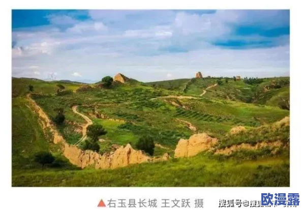 亚洲xxxxx乱辈：新动态揭示各国文化交融与冲突的复杂性，影响深远引发广泛关注与讨论