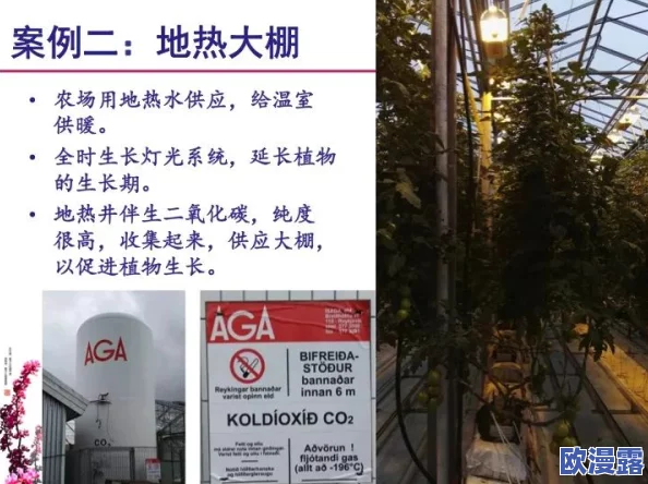 韩国无码一区，内容丰富多样，让人眼前一亮，值得一看！