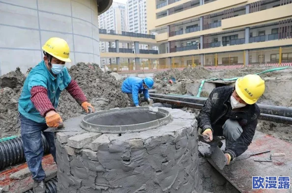 正片65a33，剧情紧凑，演员表现出色，让人感受到深刻的情感共鸣