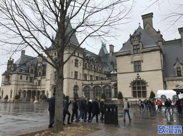 三国大亨：工匠最强选择攻略，技能点高效搭配技巧解析