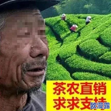 哑巴通房11h，真是让人感到震惊，这种现象背后隐藏着怎样的社会问题呢？