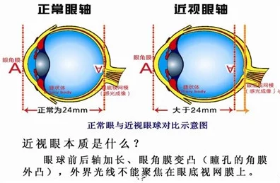 免费做爰试看120秒，网友纷纷表示这种活动吸引眼球，但也有人担心内容的真实性和安全性