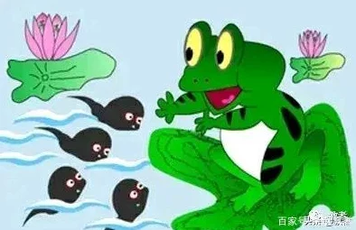 蝌蚪窝 114：这期内容真有趣，感觉每次都能学到新知识，期待下次更新！