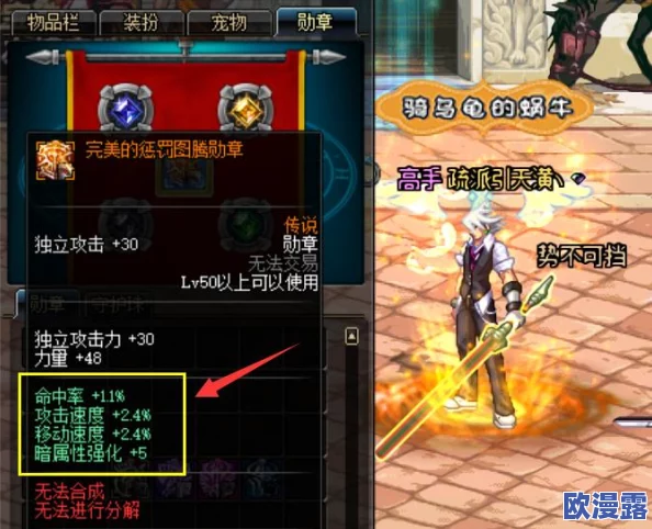 DNF手游公会徽章专属效果全面解析：可装饰性光环特色揭秘