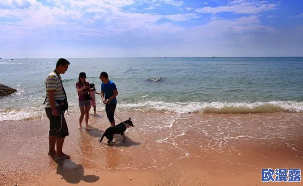 视频披风少年爱老妈海角，真是感人至深，让人想起了自己的母亲