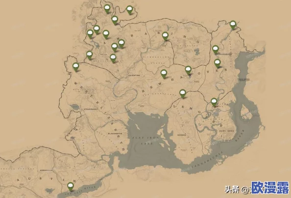 53岁老阿姨荒野大镖客的评测：一位中年女性如何在游戏世界中找到乐趣与挑战的独特体验