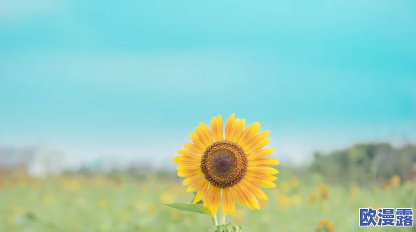 种子齐备五十二难，真是让人感慨万千，这些挑战背后蕴含着深刻的哲理