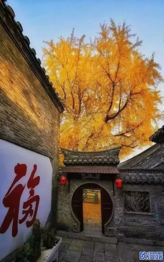 怡红院怡春院，真是一个充满历史韵味的地方，让人感受到古代文化的魅力
