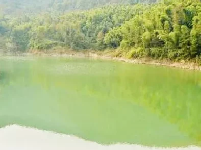 甘雨白水流淌了一地图，真是美得让人心醉，仿佛置身于仙境之中