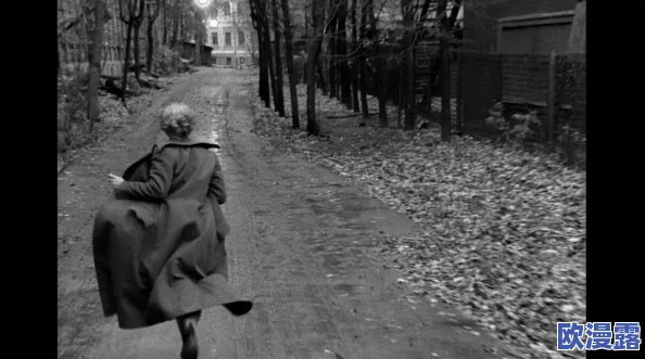 太久永远回家,在线观看：震撼上线，感人故事引发观众热泪，快来体验这场心灵之旅！