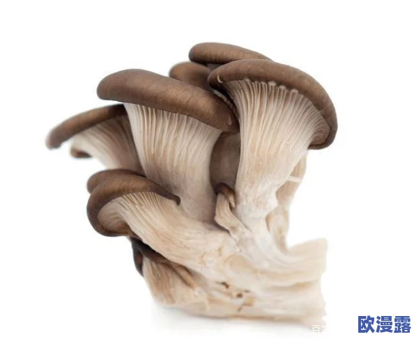 蘑菇，这种食材真是太神奇了，不仅美味，还有很多营养价值，值得尝试！
