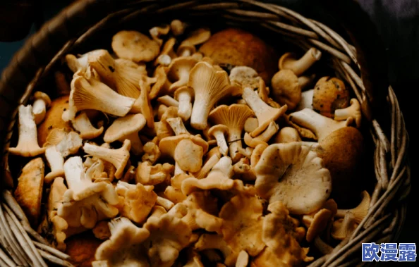 蘑菇，这种食材真是太神奇了，不仅美味，还有很多营养价值，值得尝试！