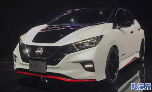 精美日产MV二线三线,设计独特,性能卓越,真是值得期待的车型! 精美日产MV二线三线,设计独特,性能卓越,真是值得期待的车型!