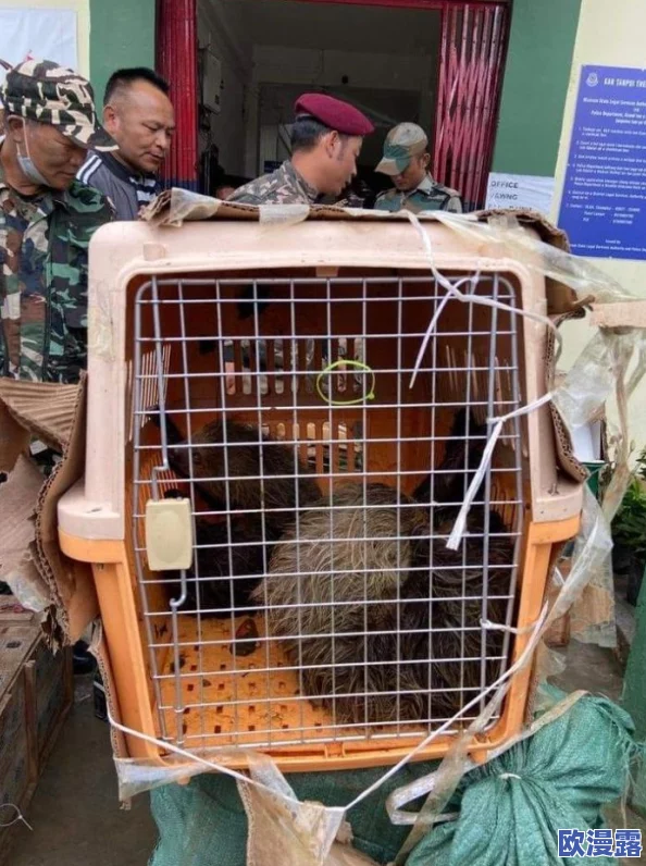 缅甸北部暗黑网叫什么?这个问题引发了很多人的关注,大家都想了解更多 缅甸北部暗黑网叫什么?这个问题引发了很多人的关注,大家都想了解更多