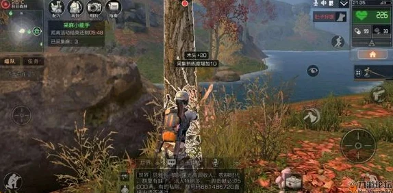 明日之后游戏攻略：如何获得与采集植物根茎的详细指南