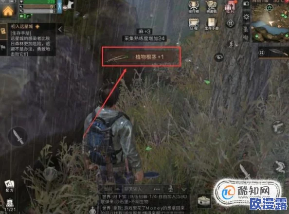 明日之后游戏攻略：如何获得与采集植物根茎的详细指南